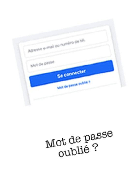 Gestionnaire de mots de passe - Ligné 40 Pages - 6x9 pouces